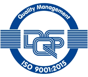 ISO 9001 2025